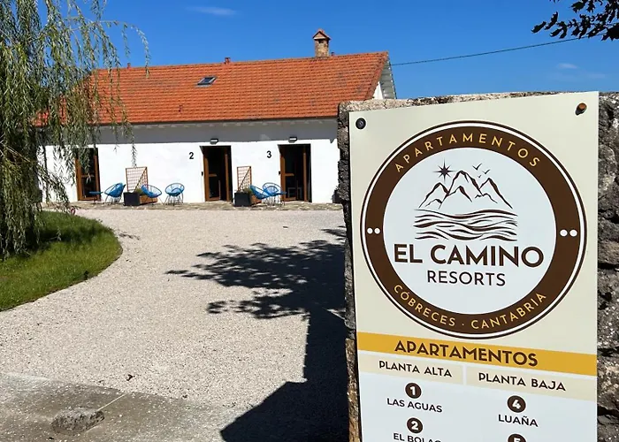 El Camino (adults Only)