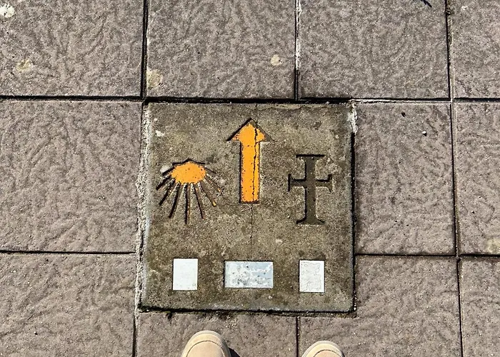 El Camino (adults Only) Cóbreces