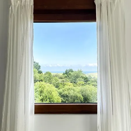 El Camino (adults Only)