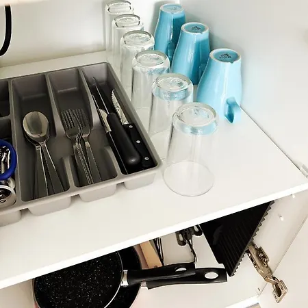 El Camino (adults Only) *