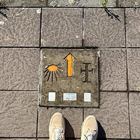 El Camino (adults Only) Cóbreces