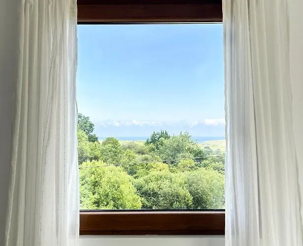 El Camino (adults Only)