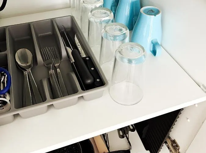 El Camino (adults Only) *